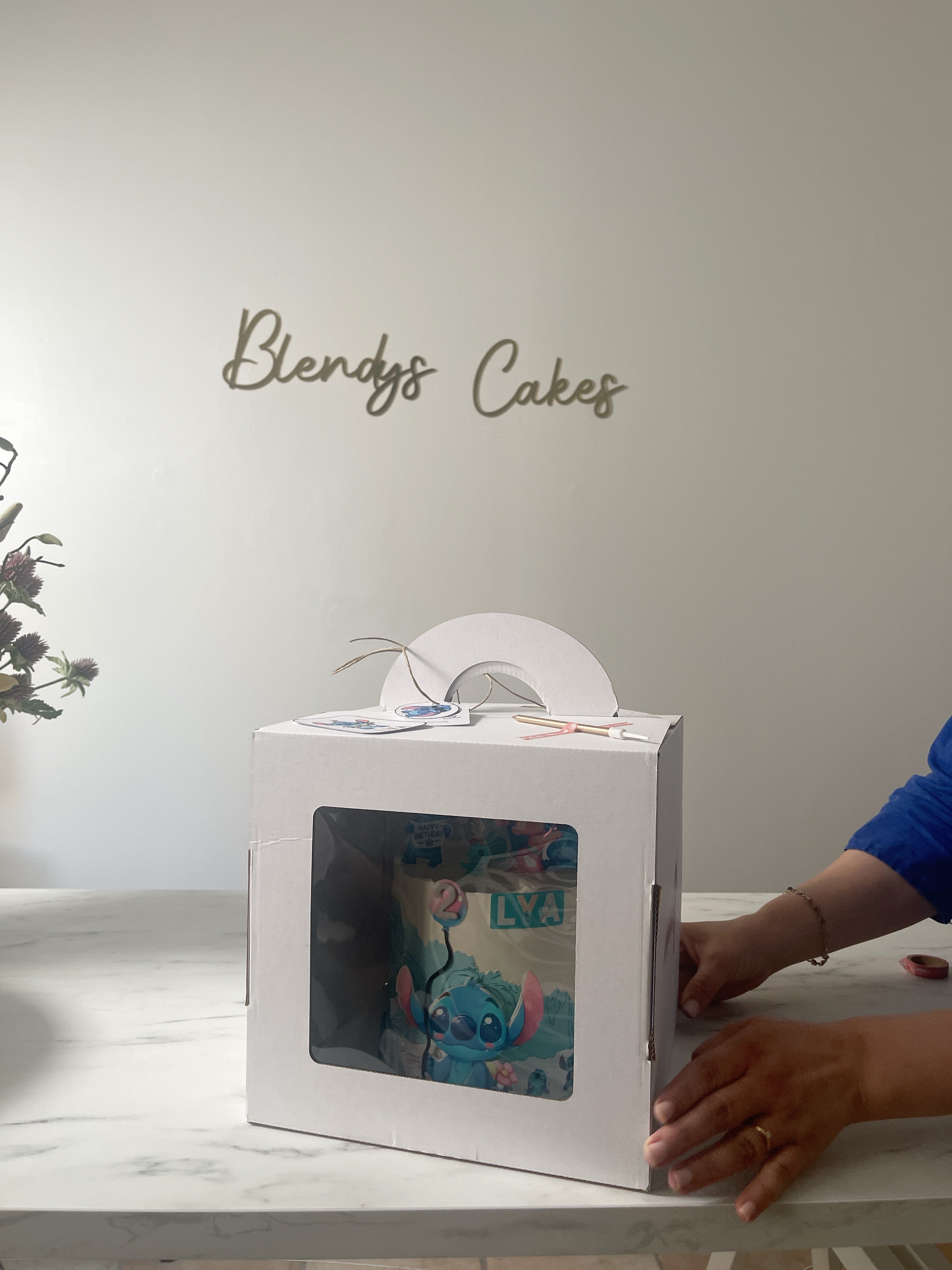 🎂 Layer Cake Hope – 14 parts